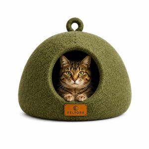 Olive Dome Cat Cave