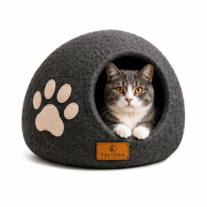 pawprint-cat-cave