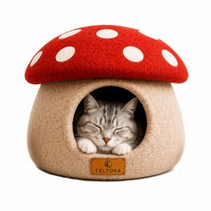 mushroom-cat-cave