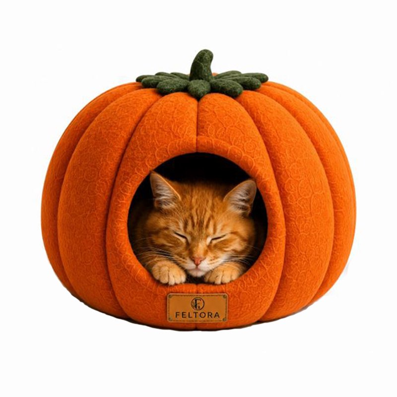Pumpkin Cat Cave