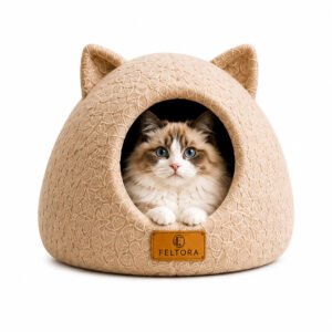 Cat Ear Cat Cave